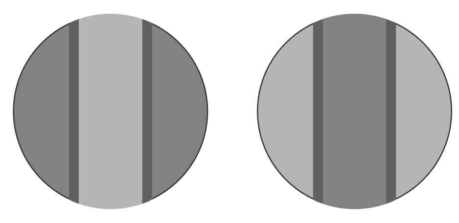 A close-up of a pair of circles

Description automatically generated